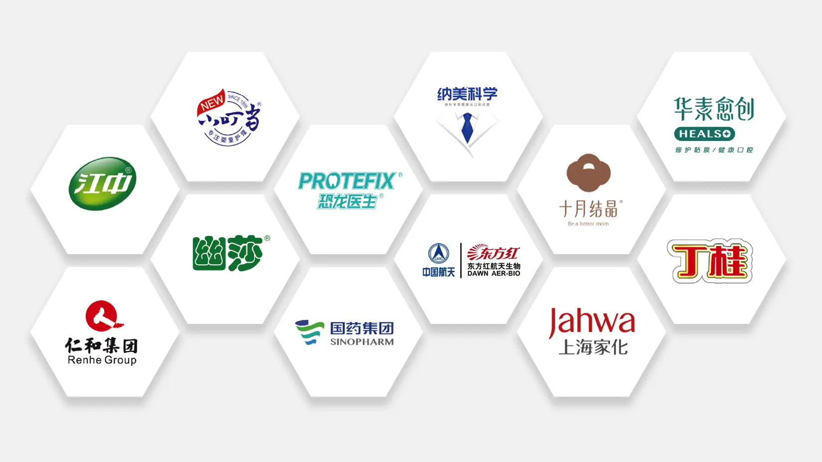 Company Profile